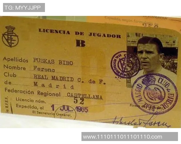 足球明星球员入籍条件解析及影响因素探讨